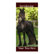 Friesian Painting Personalized Rack Card