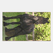 Friesian Painting Sticker