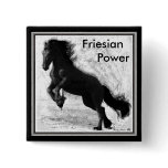 Friesian Power Button