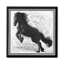 Friesian Power Magnet 1
