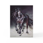 Friesian Stallion - card