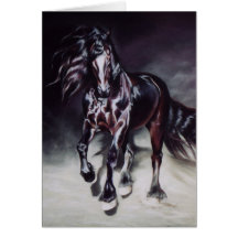 Friesian Stallion - card