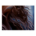 Friesian Storm Postcards