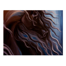 Friesian Storm Postcards