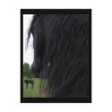 Friesian View Postcards