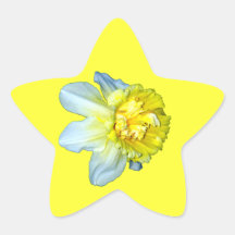 Frilly White and Yellow Daffodil Sticker