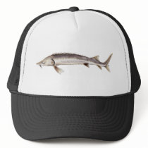 Fringebarbel Sturgeon Hat