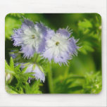 Fringed Phacelia Mousepad