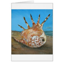 Frisco's Shell Greeting Card