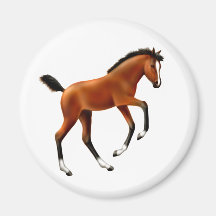 Frisky Foal Round Magnet