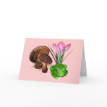 Frog and Toadstool cards