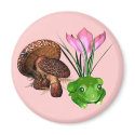 Frog and Toadstool magnets
