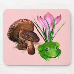 Frog and Toadstool mousepads