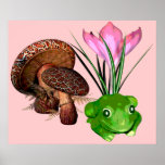 Frog and Toadstool posters
