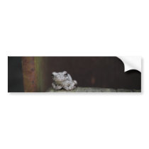 Frog Bumper Sticker