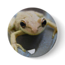 Frog Button