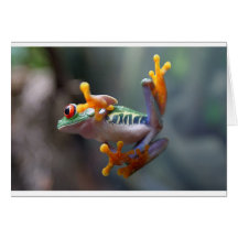 Frog by John Remar Jr. Greeting Cards