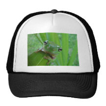 Frog! Cap Trucker Hats