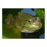 Frog Card