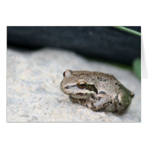 Frog!