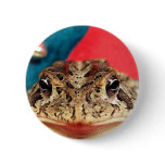 Frog Christmas , Tinsel, feathers, santa pattern