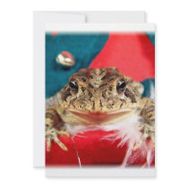 Frog Christmas , Tinsel, feathers, santa pattern