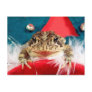 Frog Christmas , Tinsel, feathers, santa pattern