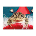 Frog Christmas , Tinsel, feathers, santa pattern postcards