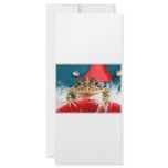 Frog Christmas , Tinsel, feathers, santa pattern rack cards