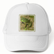 Frog Design Baseball Hat