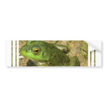 Frog Design Bumper Sticker