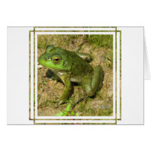 Frog Design Greeting Card