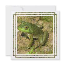 Frog Design Invitation