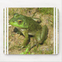 Frog Design Mouse Pad