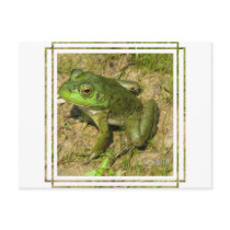 Frog Design Postcard