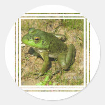 Frog Design Sticker