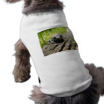 Frog pet clothing