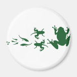 frog-evolution.png fridge magnets