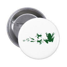frog-evolution.png pins
