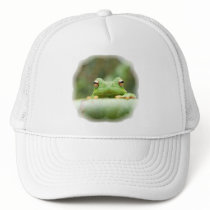 Frog Eyes Baseball Hat