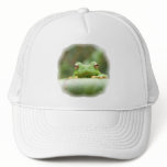 Frog Eyes Baseball Hat