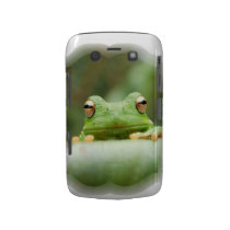 Frog Eyes Blackberry Bold Case