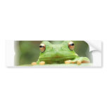 Frog Eyes Bumper Sticker bumper stickers