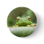 Frog Eyes Button