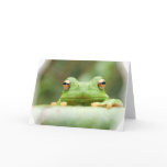 Frog Eyes Greeting Card