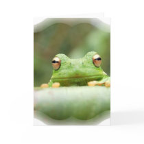 Frog Eyes Greeting Card