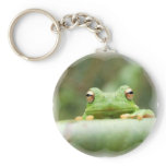 Frog Eyes Keychain