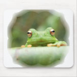 Frog Eyes Mouse Pad mousepads