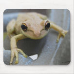 Frog Eyes Mousepad