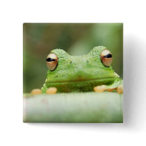 Frog Eyes Square Pin